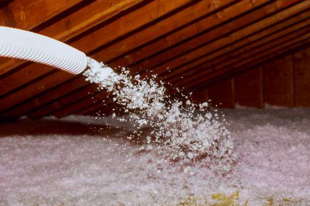 Best Insulation Replacement Services  in Commerce, GA