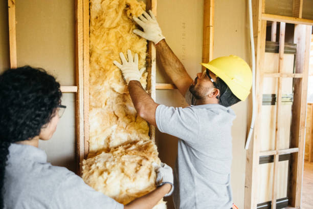 Best Wall Insulation Contractor  in Commerce, GA